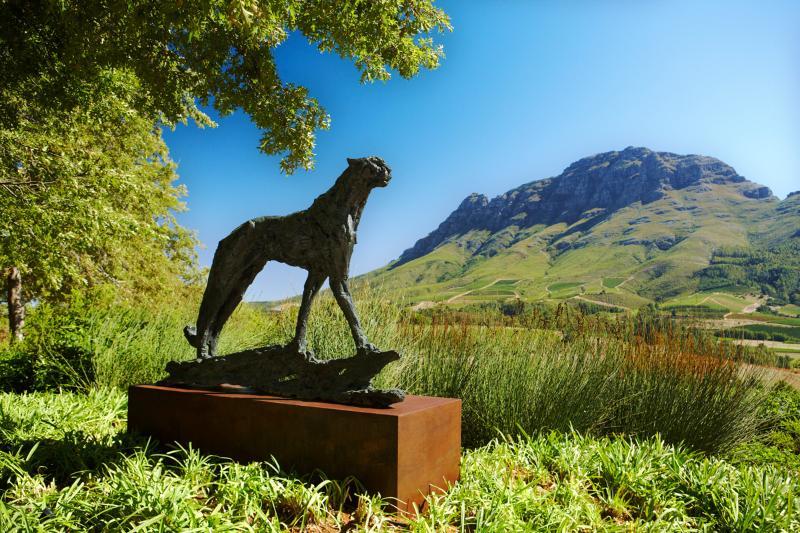Delaire Graff Lodges And Spa Stellenbosch Exteriör bild